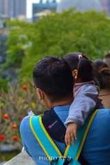 91958D99-8FF0-4637-A382-43F883CDEBFD/L0/001