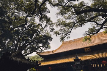 9FA4D6D1-F84F-44F8-98F9-C2B9EECB823B/L0/001