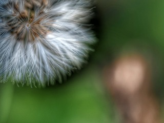 945767