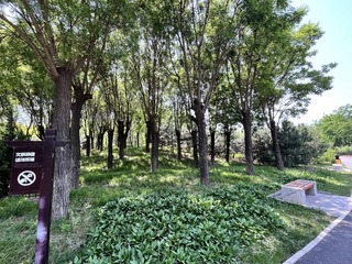 45FA08BB-AD77-431C-8553-87AB273E0B8D/L0/001