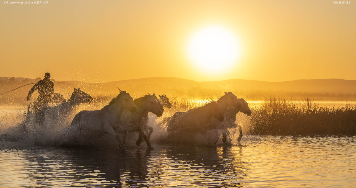 《迎着朝阳》 2019秋坝上草原