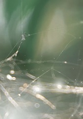 98F6AEEA-6BCA-4C4F-AC4D-A6BF72488DF5/L0/001