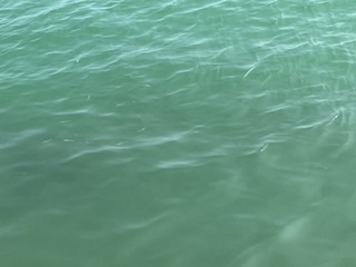 0DE0C502-34CC-4CAC-8F87-16DA641B627A/L0/001