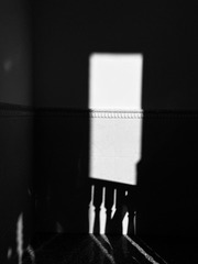 A3873B99-7A55-4042-9D1B-7C0372C866A0/L0/001