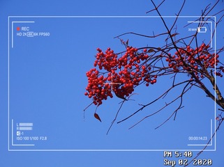 DB769F45-30F2-4D1F-86F9-AACB725CA9FE/L0/001