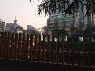 1206529