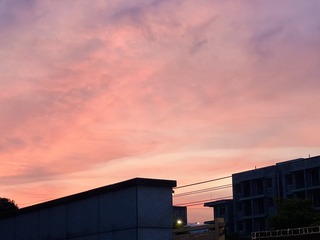 C20A01DC-E92E-441F-8872-36AA55C729B3/L0/001