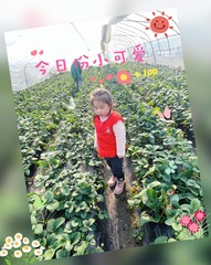 89AF0508-C406-4B92-ADF6-031427F1DEE6/L0/001