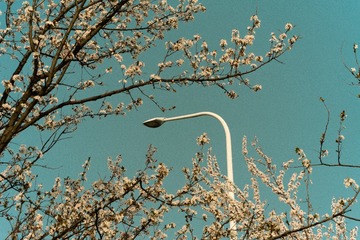5EC5A873-F4DB-4D7A-B71C-F0899D12C5C2/L0/001