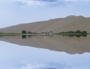 446627