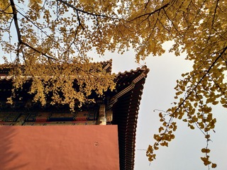 1650