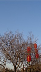 F221DCE0-3381-4214-975B-487BDF372511/L0/001