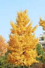 IMG_5298.jpg
