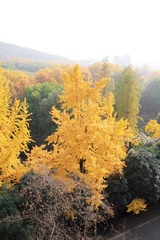 IMG_5497.jpg