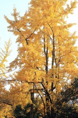 IMG_5465.jpg
