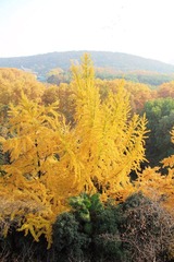 IMG_5493.jpg