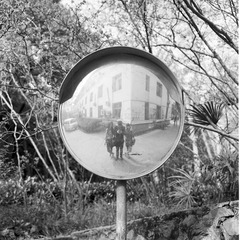 20130326_ADOX_CHS100_02fb.jpg