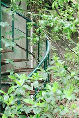 IMG_7494fb.jpg