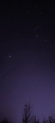 1000041258
