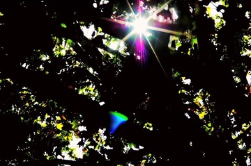 853_3559472218_IMG_0001.JPG