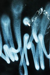 1229_3559654441_IMG_0213_conew1.jpg