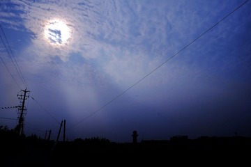 _DSF6047_conew1.jpg