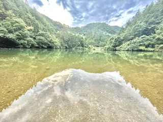 00F6F10A-671A-4F6C-88B2-551DE5246D54/L0/001