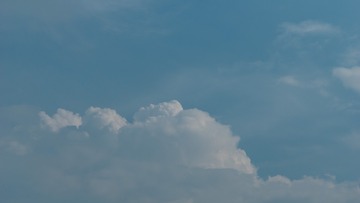 1000024698