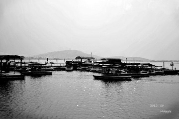 DSC_0866.jpg