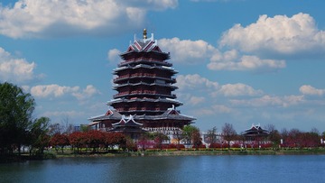 P1010641 拷贝 2