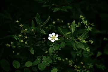 8A9D5F02-1286-482F-B0E6-7C58BDF92C6B/L0/001