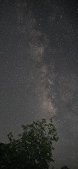 2485D155-69F6-4038-B005-DEE946288015/L0/001