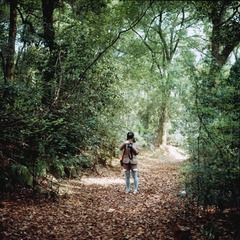 20130402_Kodak Ektar_06.jpg
