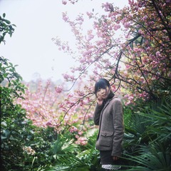 20130404_NK_RVP50_09.jpg