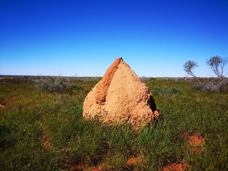 200622