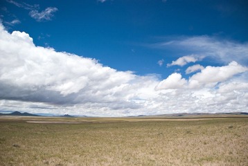 DSC_0061.jpg