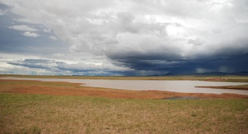 DSC_0113.jpg
