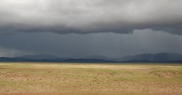 DSC_0118.jpg
