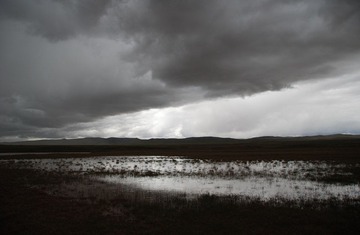 DSC_0144.jpg