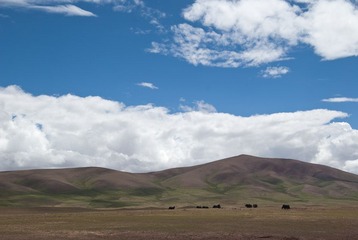 DSC_9812.jpg