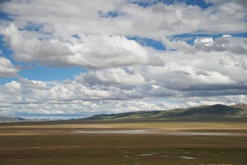 DSC_9920.jpg
