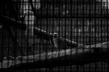 DSC_0022 (2).jpg
