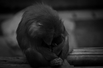 DSC_0093 (2).jpg