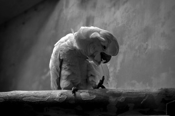 DSC_0260.jpg