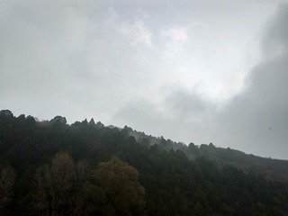 3201444