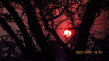 4B53F2B7-3B14-4784-85BD-70F472976891/L0/001