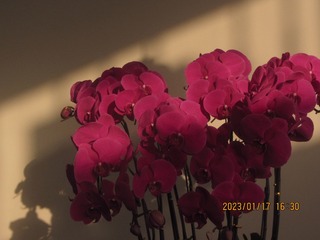 075C0498-905E-4A12-A9D4-BBC35119F722/L0/001