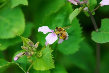 IMG_4871.jpg