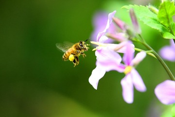 IMG_8333.jpg