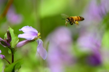 IMG_8371.jpg